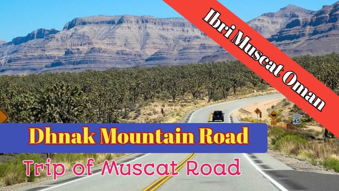 Dhank Mountain Road|| Ibri Muscat Oman||Travel Vlog Dhank Mountain Road|| Ibri Muscat Oman||Travel Vlog
