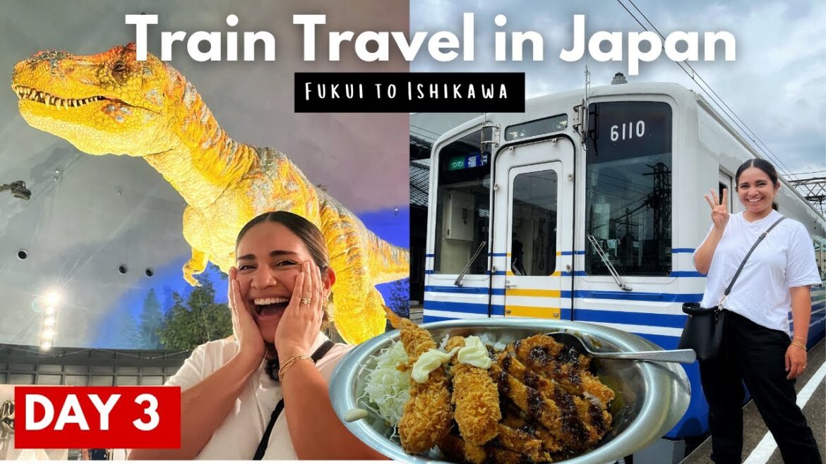 I went crazy at the Fukui Prefectural Dino Museum and then went to Kanazawa to devour CURRY AAAH