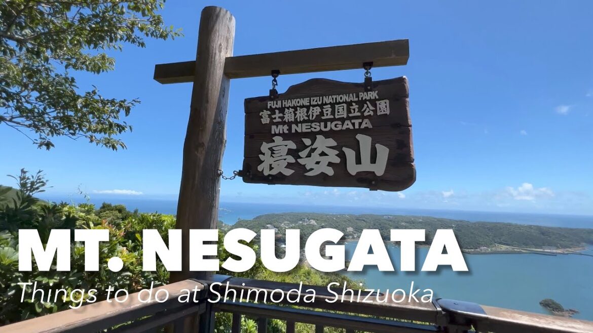 Japan Travel - Rest at The Royal House at Mt. Nesugata by Shimoda Ropeway
