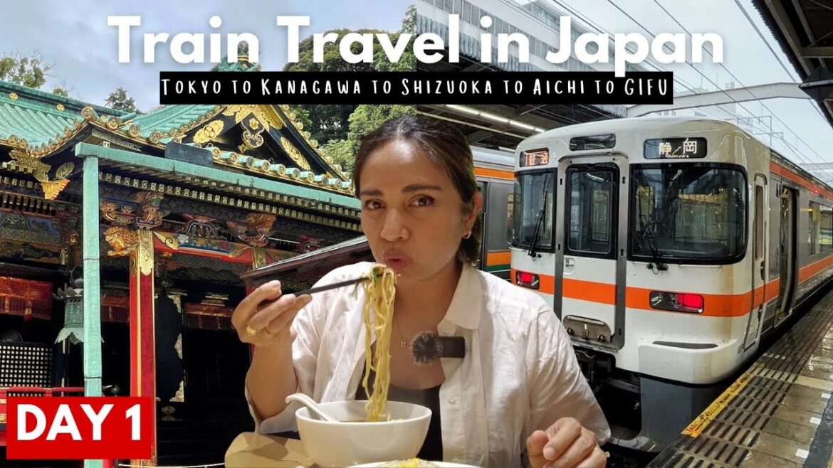 Japan trains are AWESOME! Kakigori and Shrine in Shizuoka + ramen in Nagoya + Gifu Castle! Japan trains are AWESOME! Kakigori and Shrine in Shizuoka + ramen in Nagoya + Gifu Castle!