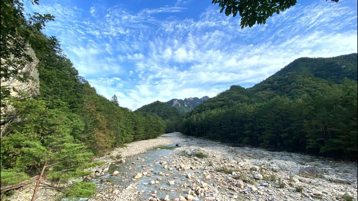 Seoraksan National Park, Walking in the beautiful valley forest, 4K Forest Walk