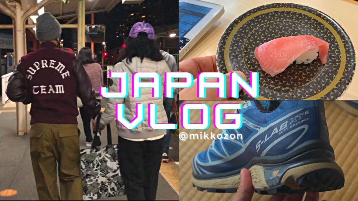Shizuoka Vlog + Vegan Sneaker Unboxing