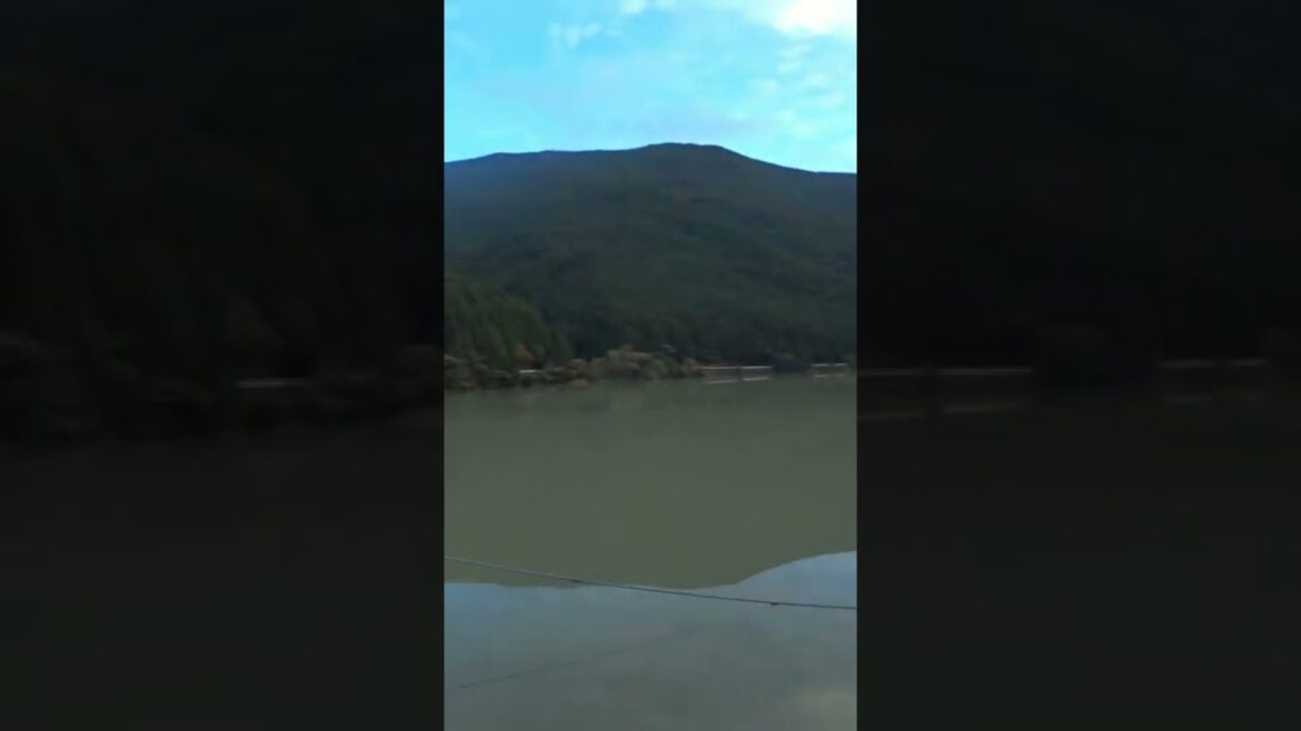 Suspension Bridge Shizuoka Japan #shorts