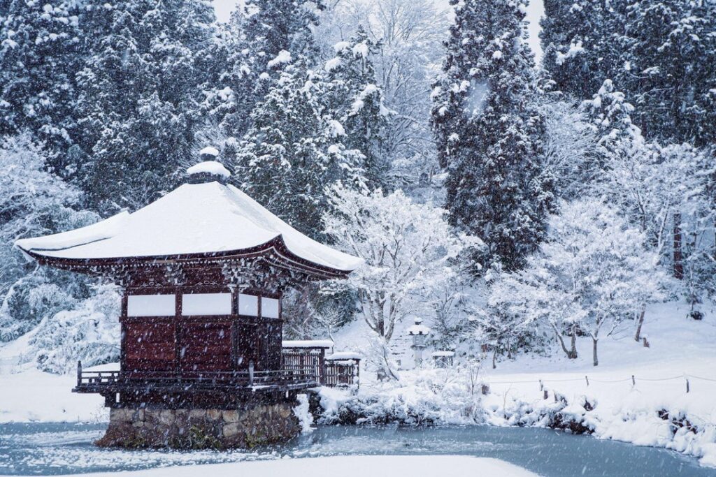 Snowy Inaka