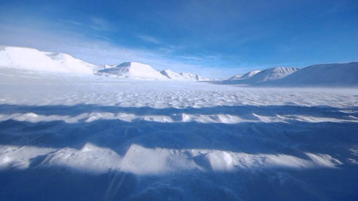 the Arctic dream: Svalbard, spring 2011 trailer the Arctic dream: Svalbard, spring 2011 *trailer*