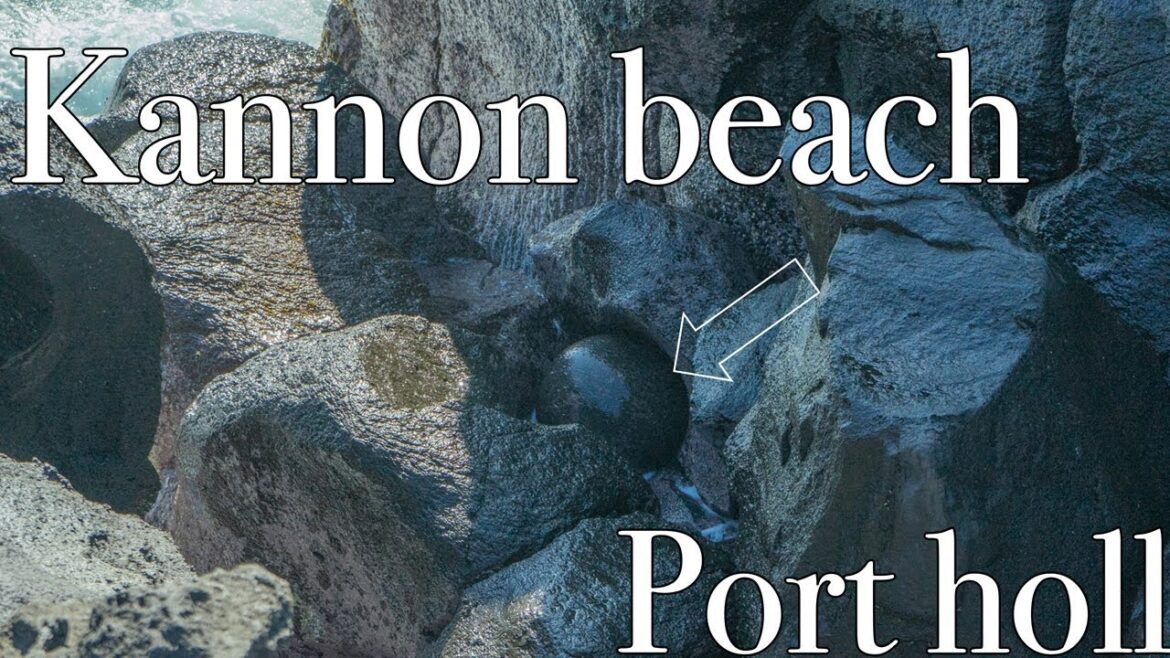 【 Kannon beach port hall】Trekking on the beautiful beach and searching for treasure.