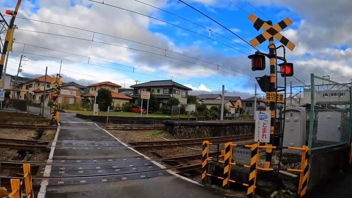 【4K】 Japan Bike Tour - Japanese Countryside, Izu, Shizuoka, Japan / 伊豆サイクリング