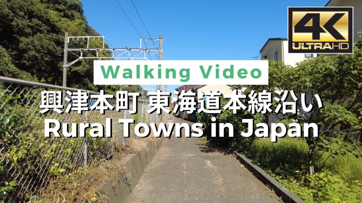 【4K】Rural Towns in Japan - 興津本町 東海道本線沿い Walking tour / Japan / DJI Pocket 2