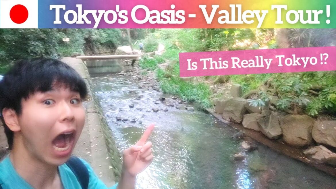 【Hidden Place in Tokyo】Todoroki Valley Tour – Let's Explore! 【Hidden Place in Tokyo】Todoroki Valley Tour - Let's Explore!