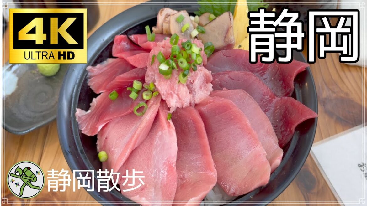 【Japan 4K 60fps】静岡散歩#1 前編 駿府城 登呂遺跡 清水港みなみ / Sunpu castle Toro Archaeological site Tune Minami