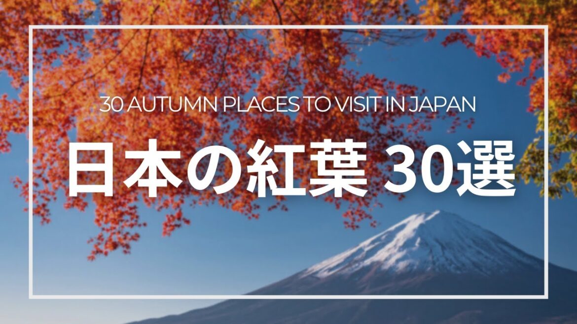 【日本の紅葉】全47都道府県を巡った旅人がおすすめ！紅葉スポット30＆見頃予報