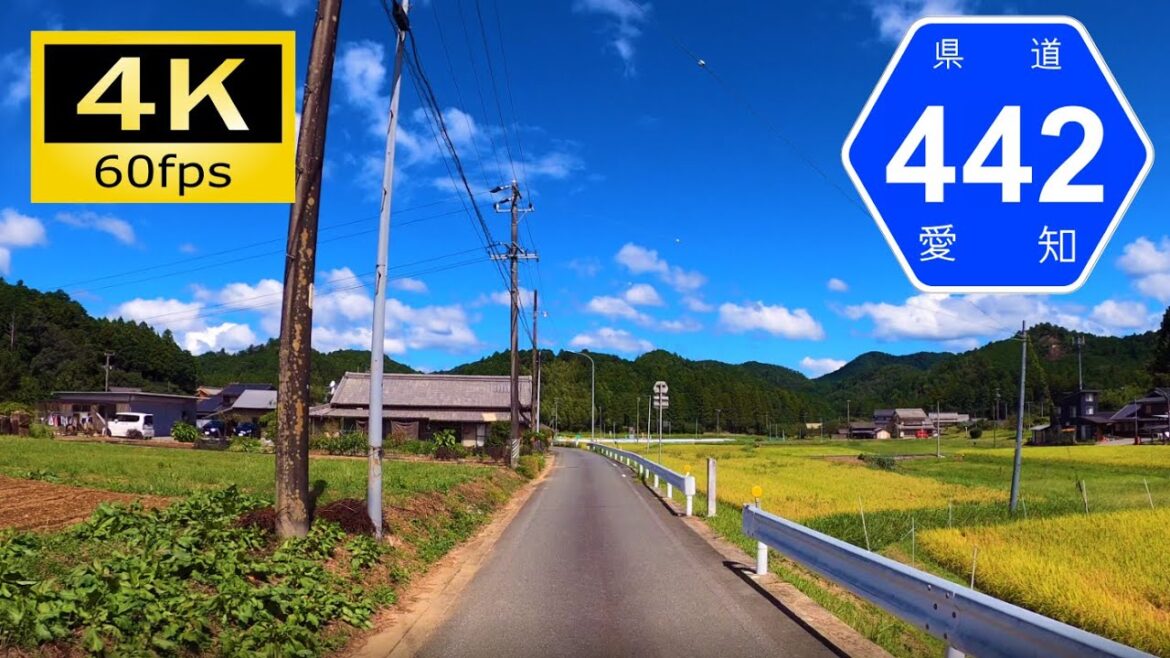 【車載動画/Onboard Cam】愛知県道442号・静岡県道390号鳳来佐久間線/Driving in Japan Onboard Camera, Aichi & Shizuoka [4K]