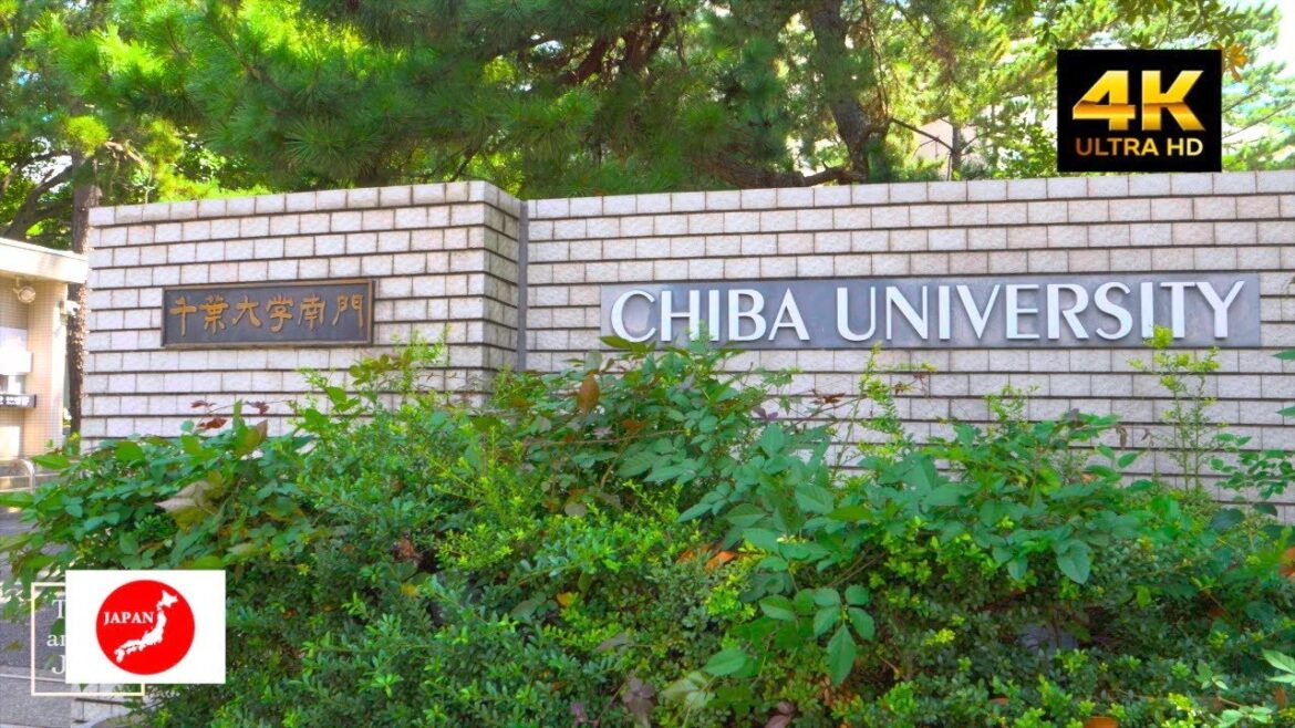 Travel around Japan 千葉大学！千葉の天才集団が集まる大学周りを散歩してみた！