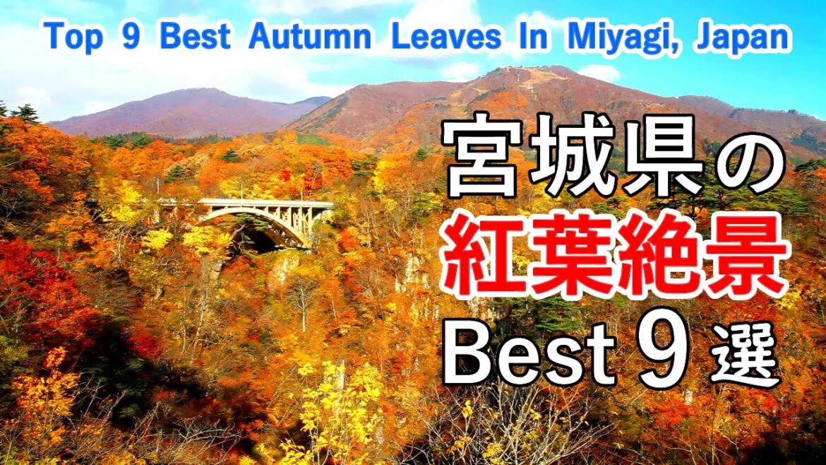 宮城県の紅葉絶景ベスト9選 / 鳴子峡・松島・秋保大滝・滑津大滝・材木岩・七ヶ宿湖・碧玉渓・阿武隈ライン / Top 9 best autumn leaves in Miyagi, Japan 宮城県の紅葉絶景ベスト9選 / 鳴子峡・松島・秋保大滝・滑津大滝・材木岩・七ヶ宿湖・碧玉渓・阿武隈ライン / Top 9 best autumn leaves in Miyagi, Japan
