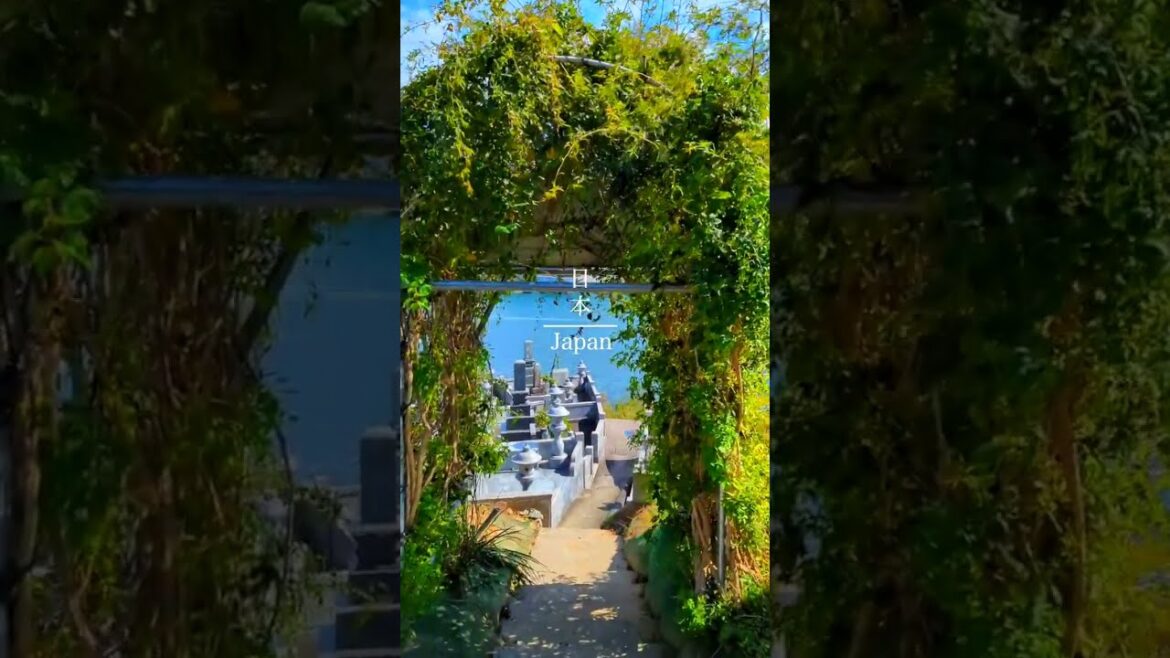 Japan looks so good in summer