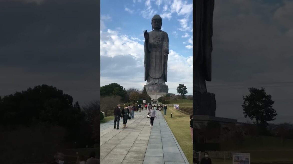 The biggest buddha statue in the world #shorts #japan #travel