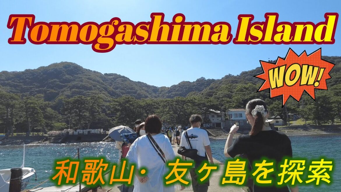 Explore phantom island, Tomogashima | 要塞遺跡、友ヶ島を散策！