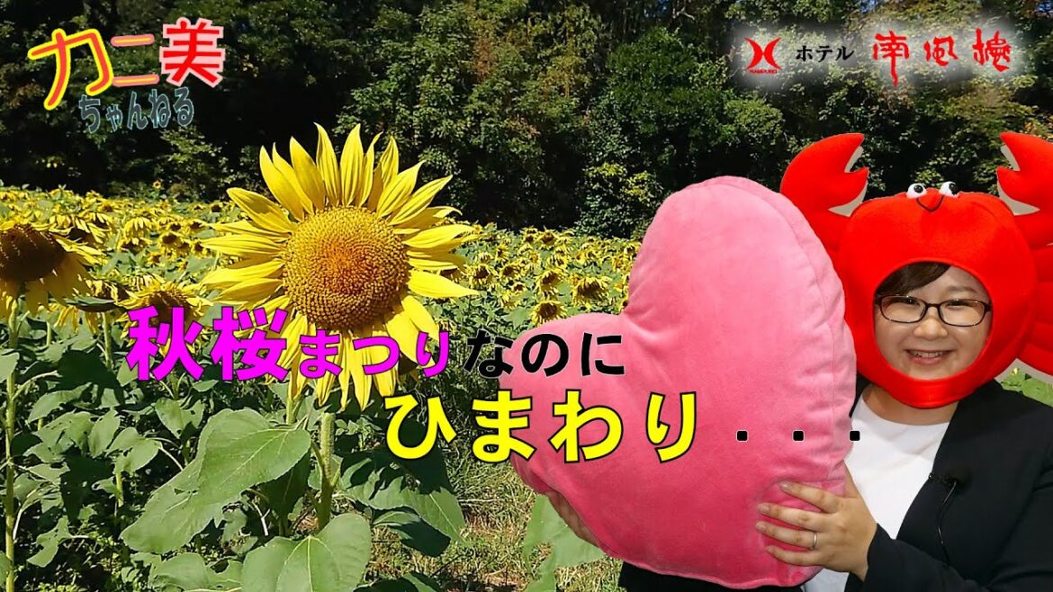 南風楼 から 車で15分！火張山花公園のコスモスがすごかった。