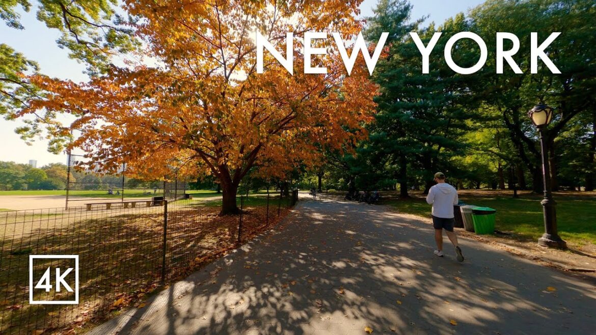 ⁴ᴷ New York City - Autumn Walk - Central Park (Oct 2022)