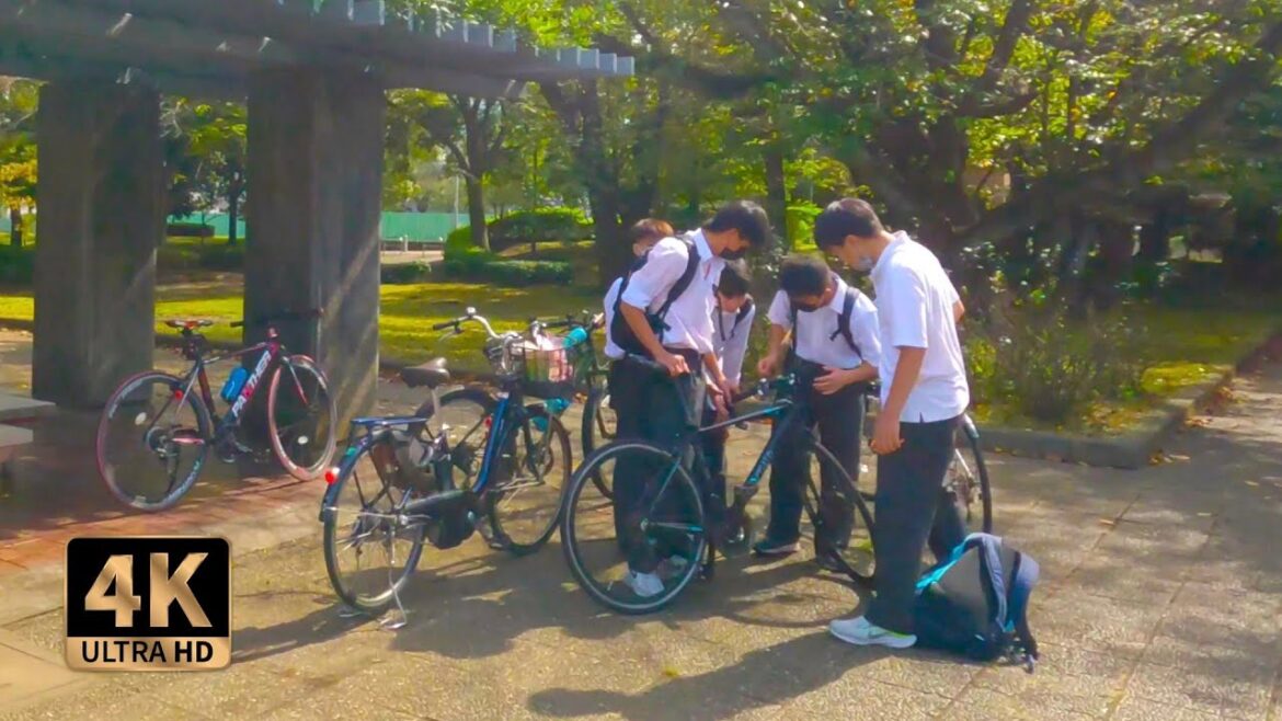 🇯🇵 SHONANDAI Park - A  nice small park close to Shonandai Station ⎡ 4K ⎦