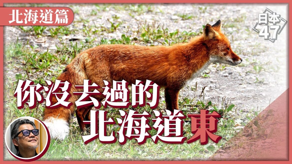 【日本47】北海道不只能玩雪!馳騁單車穿越山林秘境,和北狐、梅花鹿交朋友;在道東划獨木舟徜徉山湖,享受一趟療癒人心的自然之旅|日本47 EP.2 【日本47】北海道不只能玩雪!馳騁單車穿越山林秘境,和北狐、梅花鹿交朋友;在道東划獨木舟徜徉山湖,享受一趟療癒人心的自然之旅|日本47 EP.2