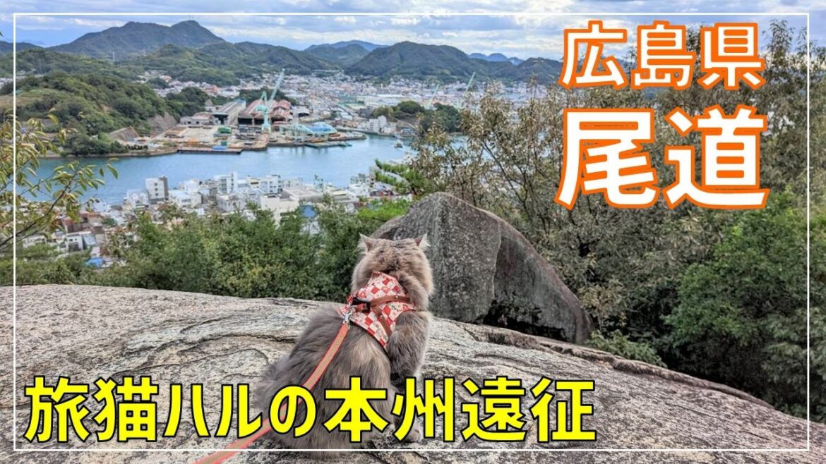 【広島】尾道の絶景スポット＆グルメを満喫する旅！【6泊7日 本州遠征の旅 part5】