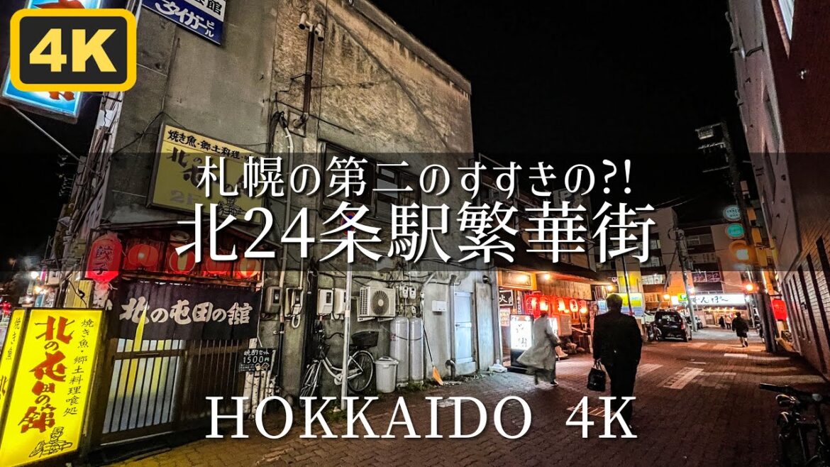 札幌第二のすすきの?! 北24条駅エリア Hokkaido Sapporo Walk