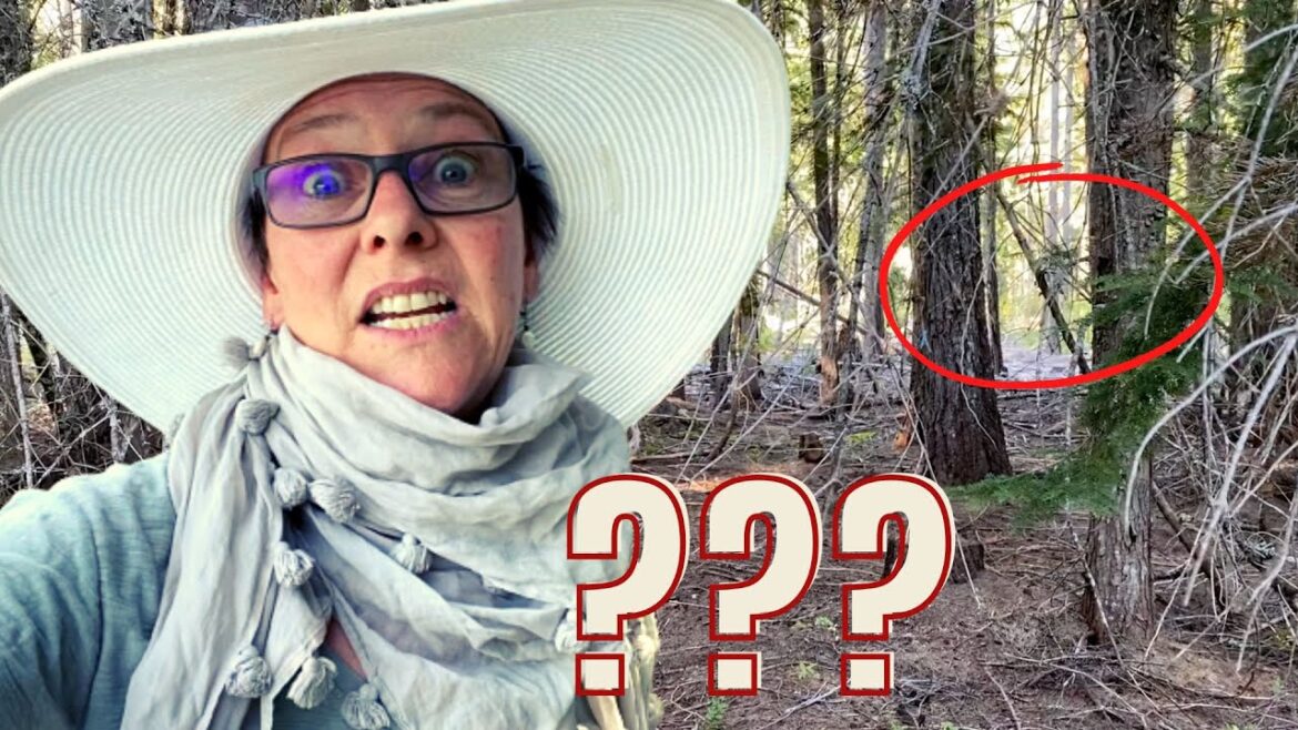 CREEPY NOISE in the Woods… 🥺 CREEPY NOISE in the Woods... 🥺