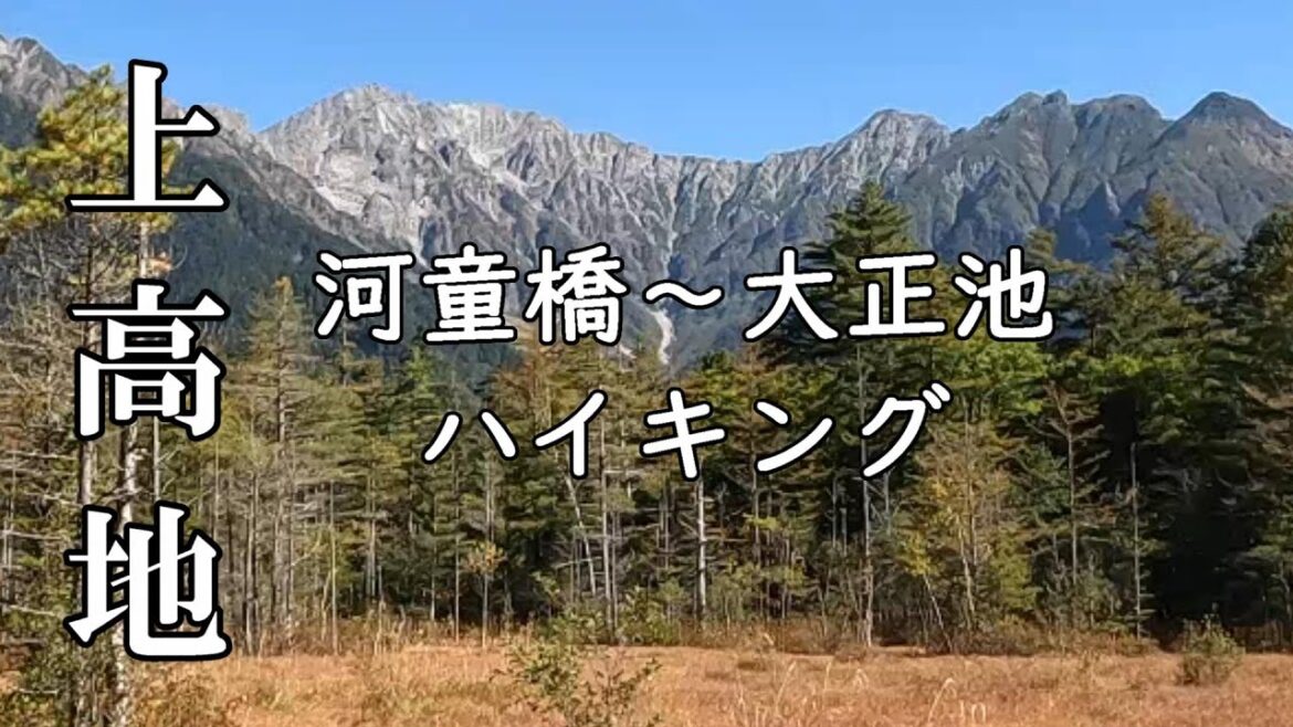 【上高地】秋口の上高地でハイキングを楽しむ。河童橋～大正池。