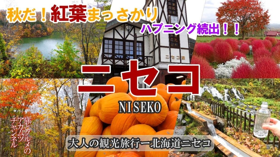 紅葉真っ盛り！【ニセコ】大人の観光旅行ー北海道ニセコ