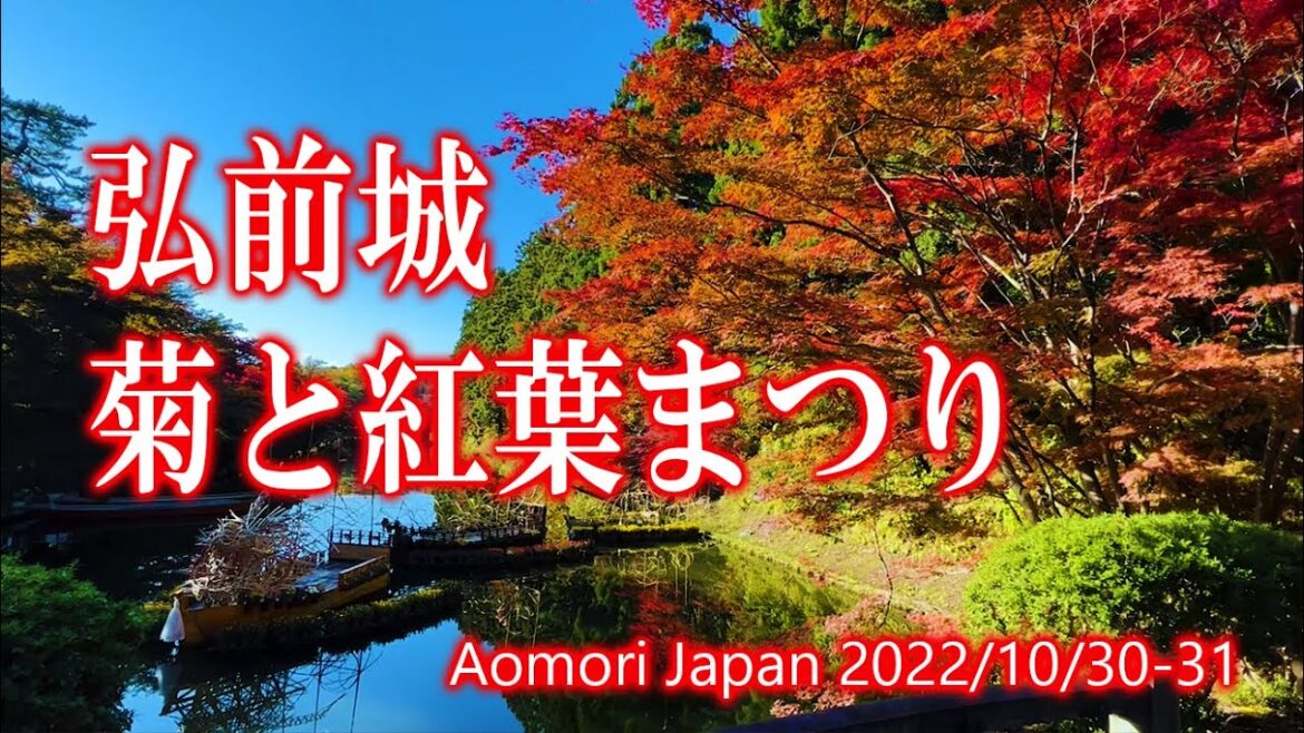 青森 『弘前城菊と紅葉まつり』昼 2022 / Aomori Hirosaki Castle Chrysanthemum and Autumn Foliage Festival -Daytime