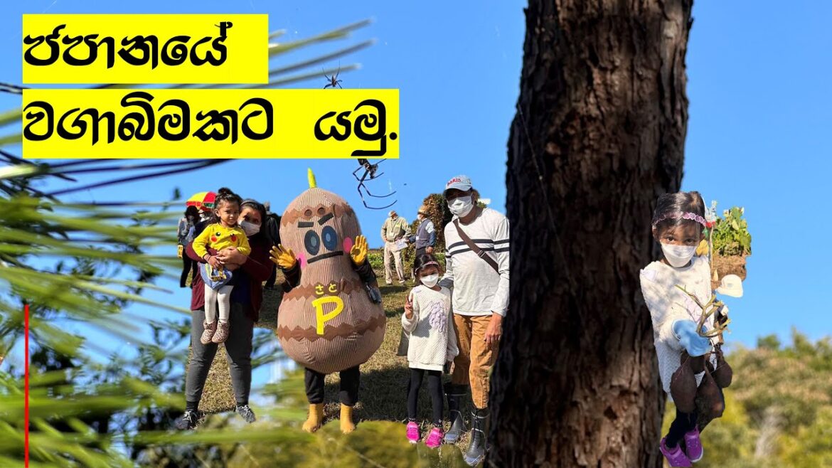 ජපානයේ වගාබිමකට යමු.