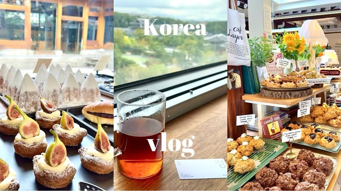 [Korea vlog#4]安国カフェ巡り|韓屋リノベカフェ|絶品パンとスコーン|絶景ビューが楽しめるカフェ
