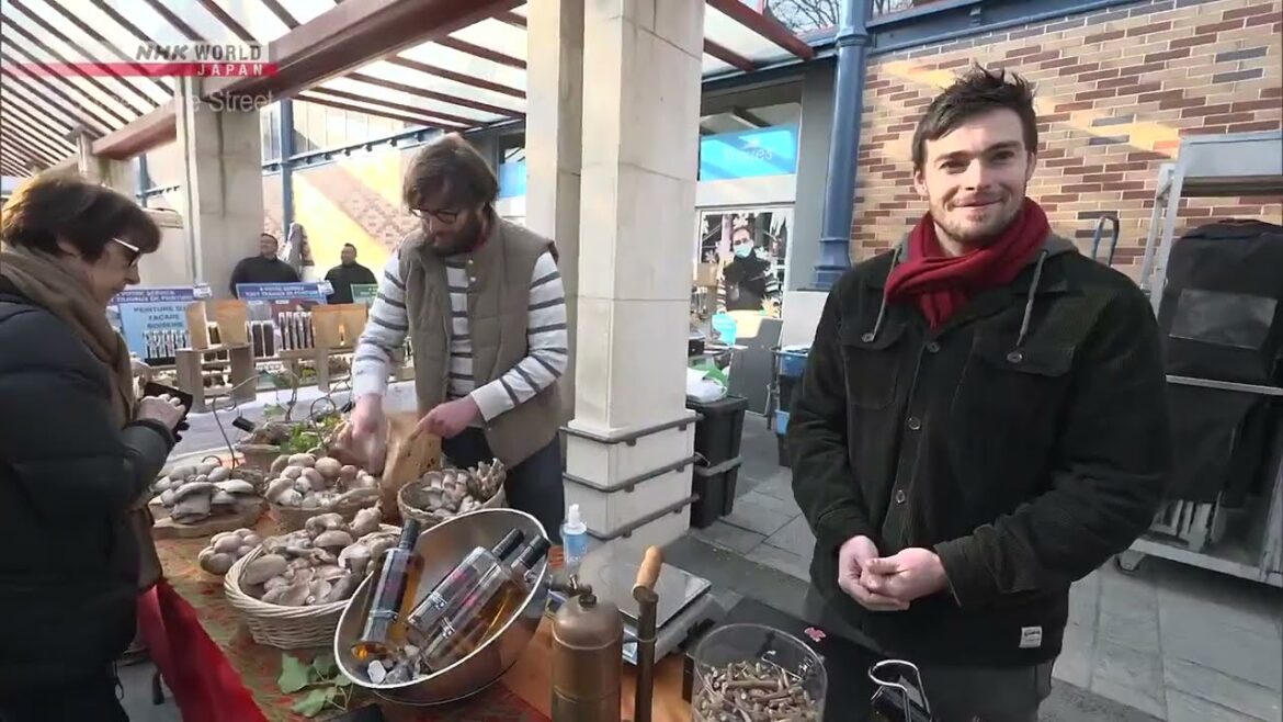 Troyes, France   Somewhere Street   NHK WORLD JAPAN On Demand