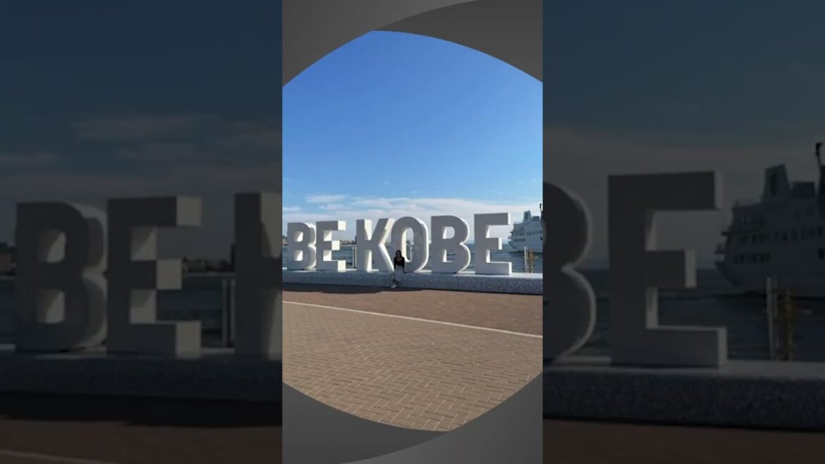 神戸出張に行ってきました#shorts