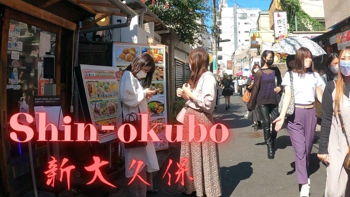 Shin-Okubo Tokyo walking tour| 新大久保を散歩【4K】The best Korean town in Tokyo.