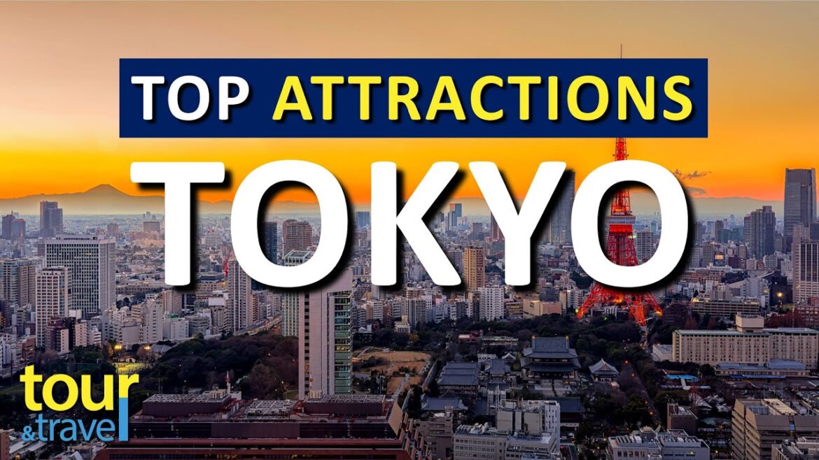 Amazing Things to Do in Tokyo & Top Tokyo Attractions
