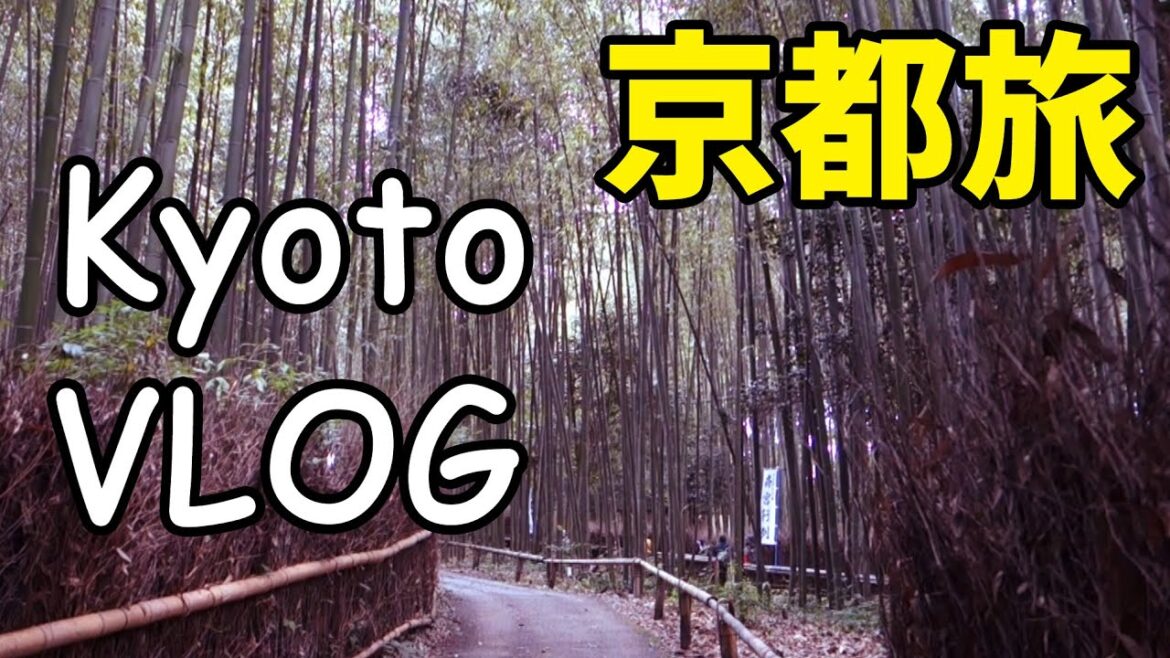 【京都旅行vlog】kyoto vlog 嵐山の「竹林の道」と「竹林の小径」そこにある超えられない壁 重大なミスを犯してしまう