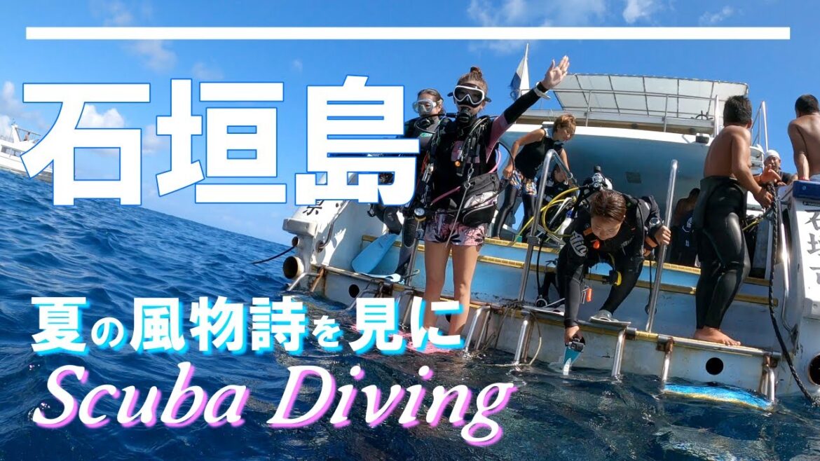 沖縄 石垣島(御神崎灯台下 北)にてスキューバダイビング。南の海で夏限定の水中風景。Scuba diving in an underwater paradise. 沖縄 石垣島(御神崎灯台下 北)にてスキューバダイビング。南の海で夏限定の水中風景。Scuba diving in an underwater paradise.