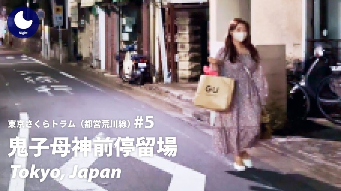 ⁴ᴷ Tokyo: Kishibojimmae Station (鬼子母神前停留場) / Toden Arakawa Line #5 : Japan Walking Tour 2022 ⁴ᴷ Tokyo: Kishibojimmae Station (鬼子母神前停留場) / Toden Arakawa Line #5 : Japan Walking Tour 2022