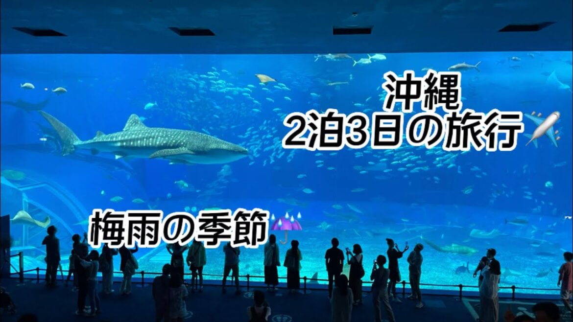 【旅行記】沖縄旅行2泊3日✈️ Okinawa trip 梅雨の季節に行く沖縄旅行