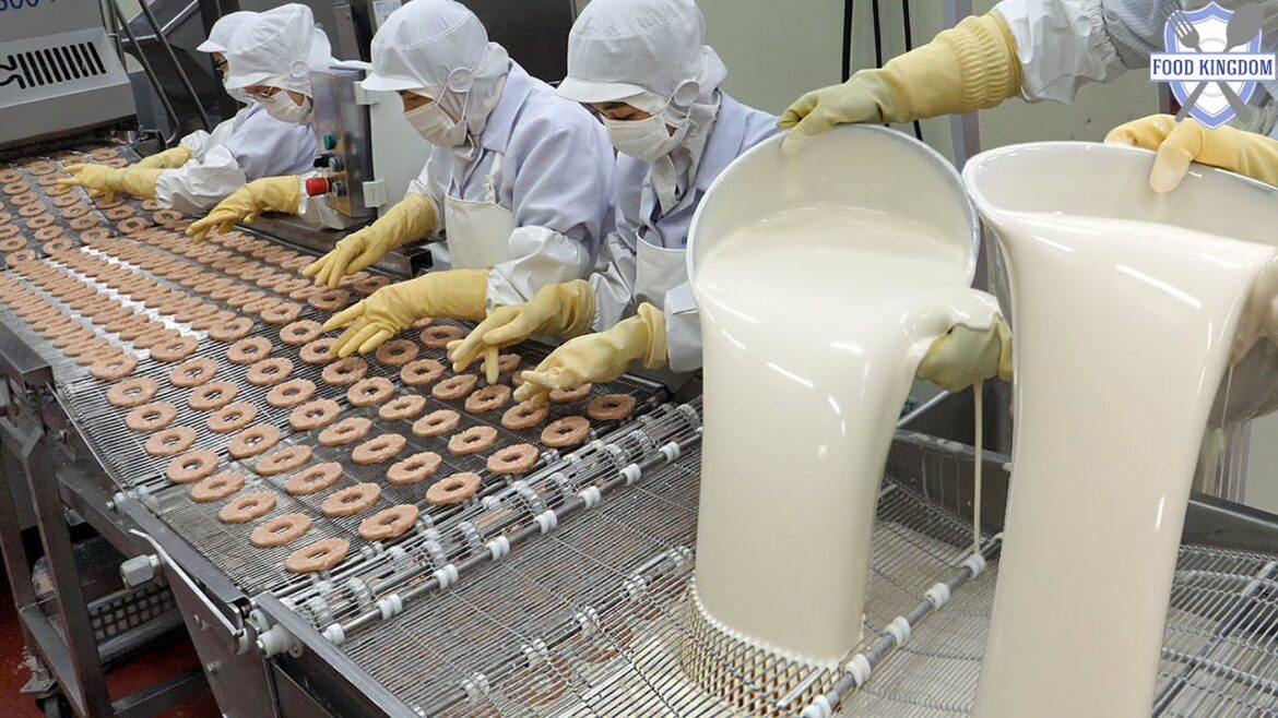 압도적인 위생과 신기한 공정! 코코넛맛 치킨링과 실온 닭가슴살 대량생산 (feat 식품진흥원) / amazing chicken ring food factory in korea