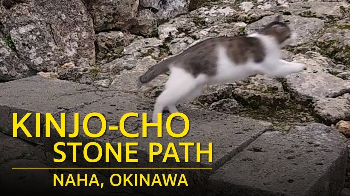 Kinjo-cho Stone Path in Naha, Okinawa, Japan - 金城町石畳道 那覇 沖縄 - Sony a7 III + Nikkor 24 f/2.8 AI-s
