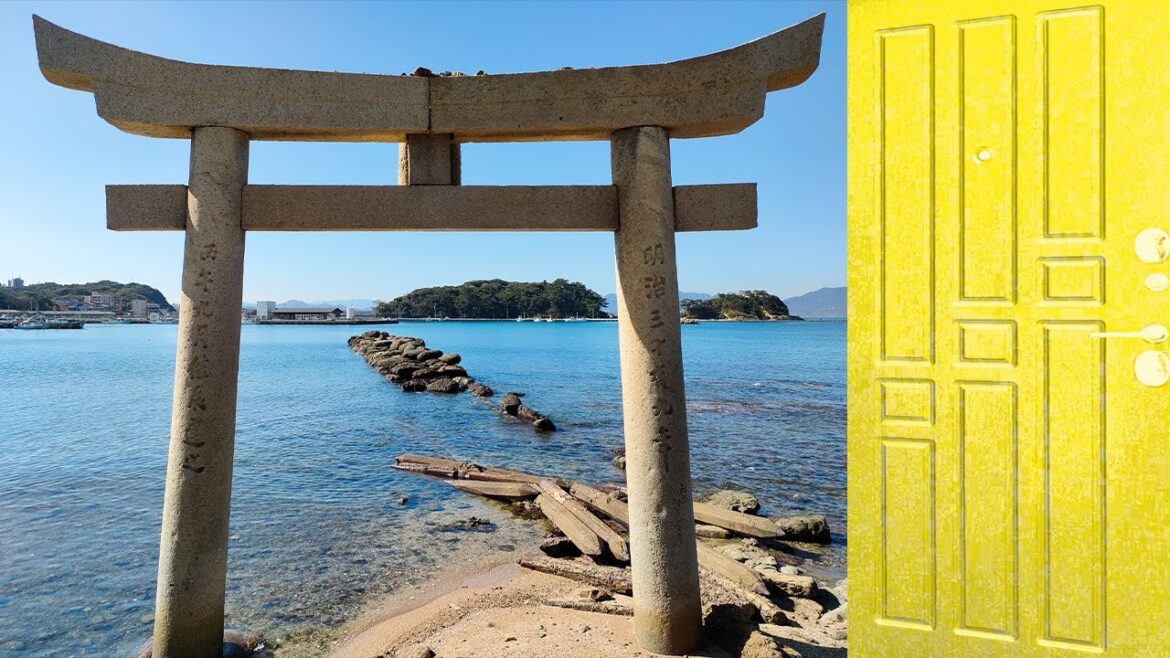 Sea waves and a rocky coast