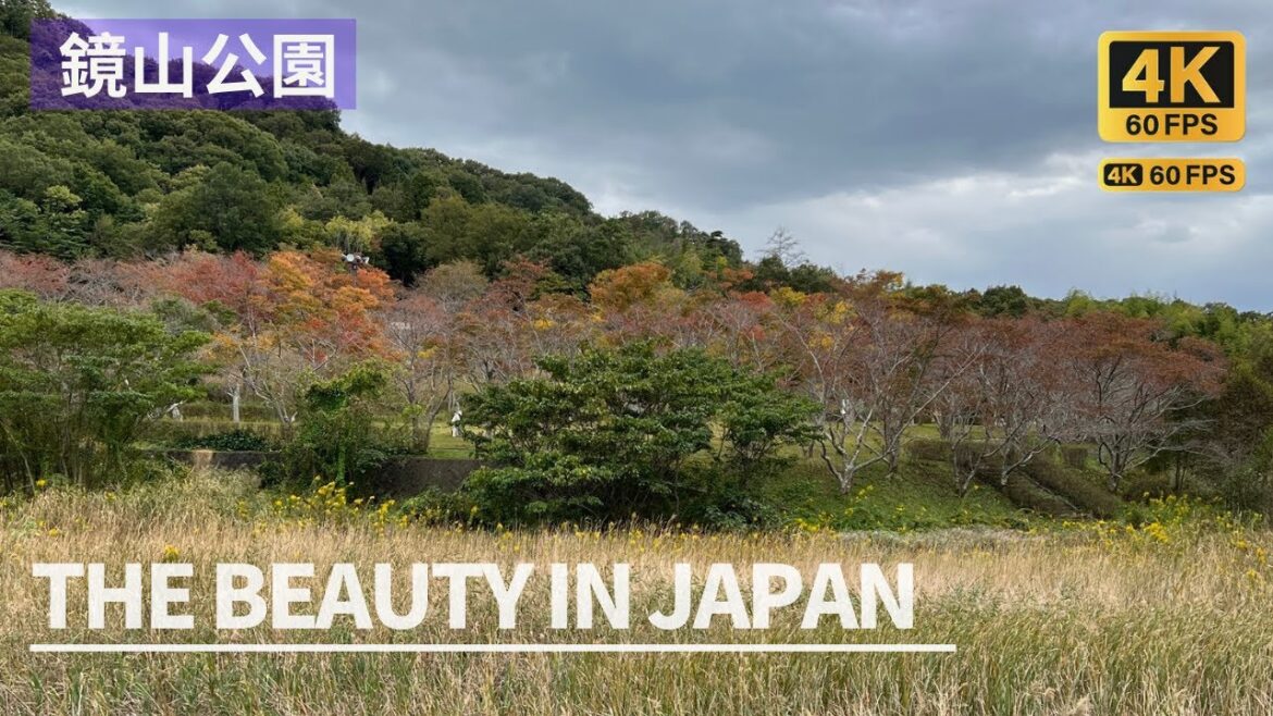 【4K】The Beauty and peace nature in Japan | Relaxing bird sound in the peace nature 【4K】The Beauty and peace nature in Japan | Relaxing bird sound in the peace nature