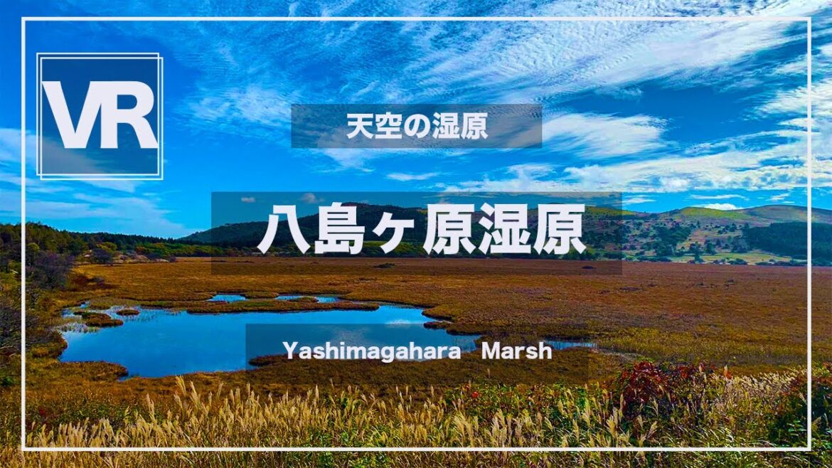 《 5.7K VR 高画質 [ 360°Japan Travel ]八島ヶ原湿原　長野県下諏訪町　Nagano　VRゴーグル推奨