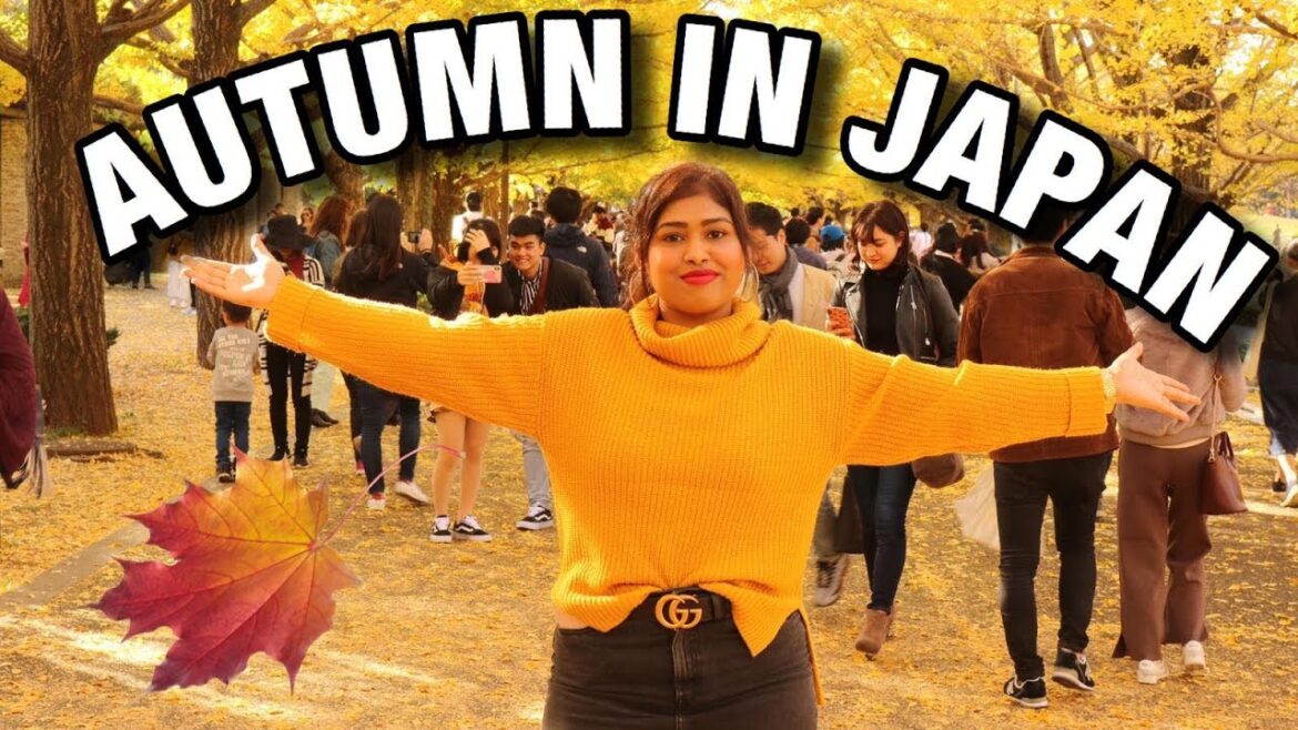 One of the Best Autumn Spot in Tokyo japan guide in hindi | Indian in Japan | Tachikawa Park