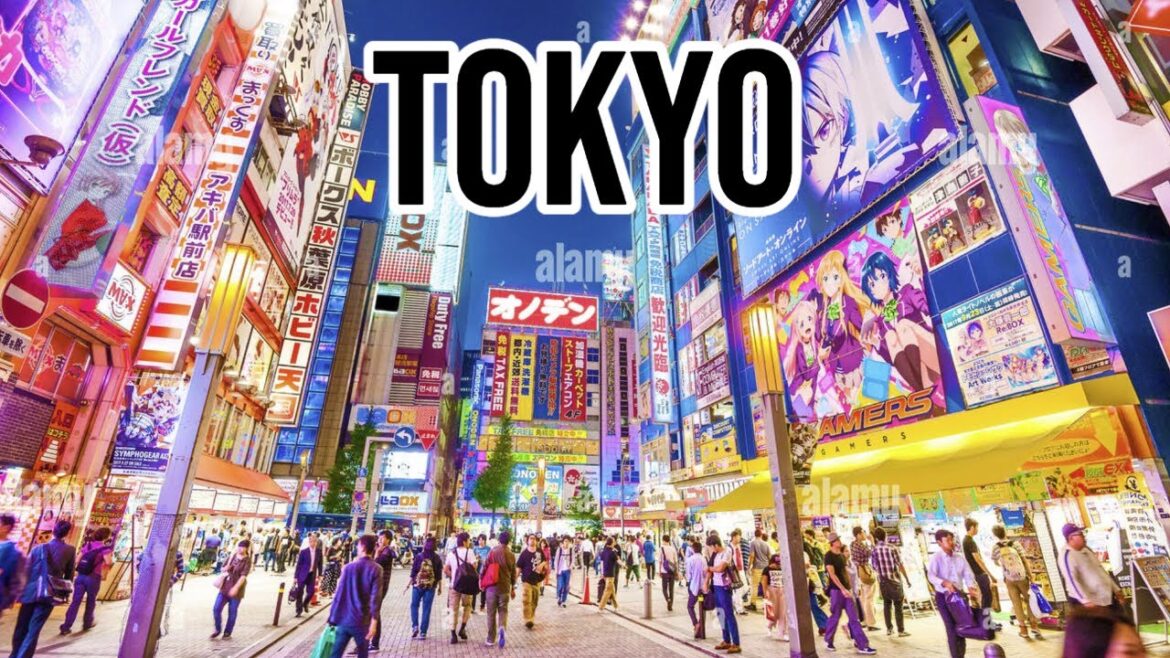 THE TOKYO EXPERIENCE | Ultra Modern City of Asia THE TOKYO EXPERIENCE | Ultra Modern City of Asia