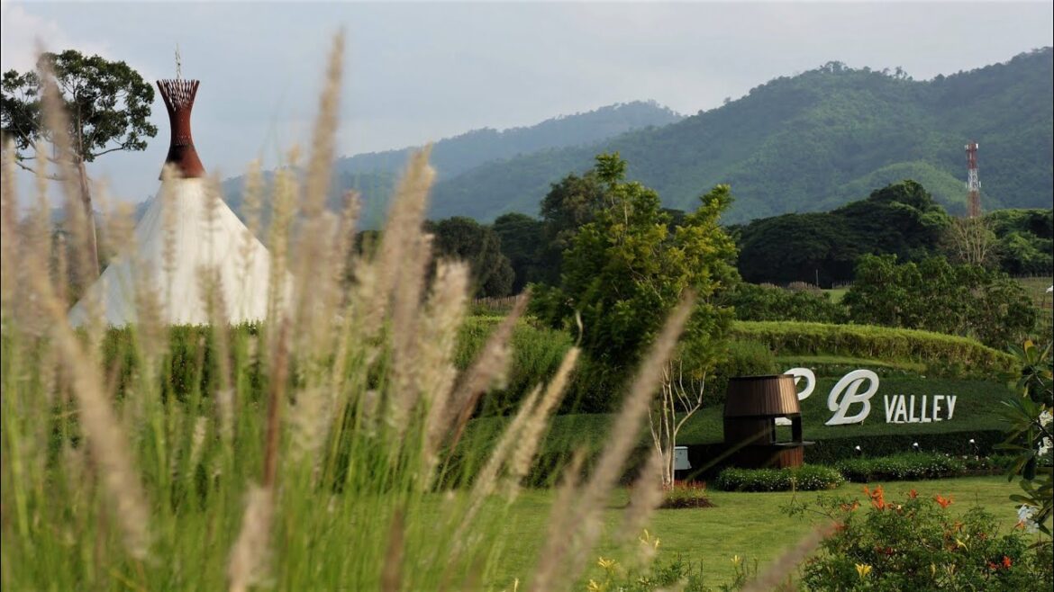 PB Valley Khao Yai Winery's official Video PB Valley Khao Yai Winery's official Video