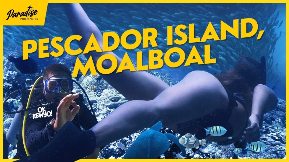 4K FREEDIVING FILM | Epic exploration of Pescador Island, Moalboal, CEBU | Paradise Philippines 4K FREEDIVING FILM | Epic exploration of Pescador Island, Moalboal, CEBU | Paradise Philippines